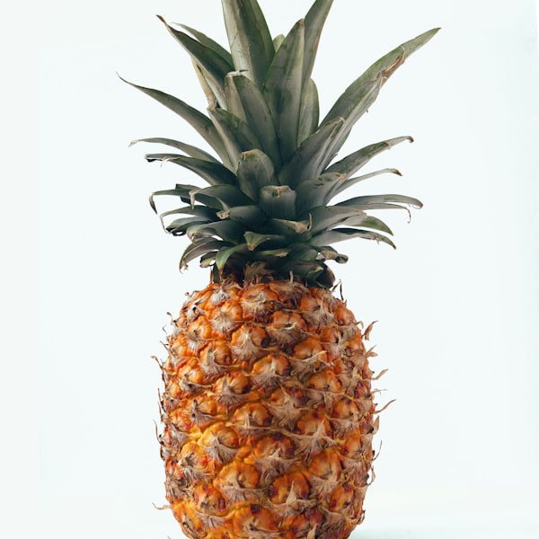 Fresh Pineapple